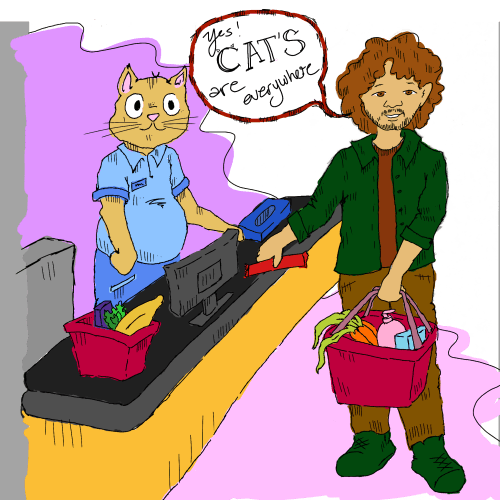 Cats Are Everywhere